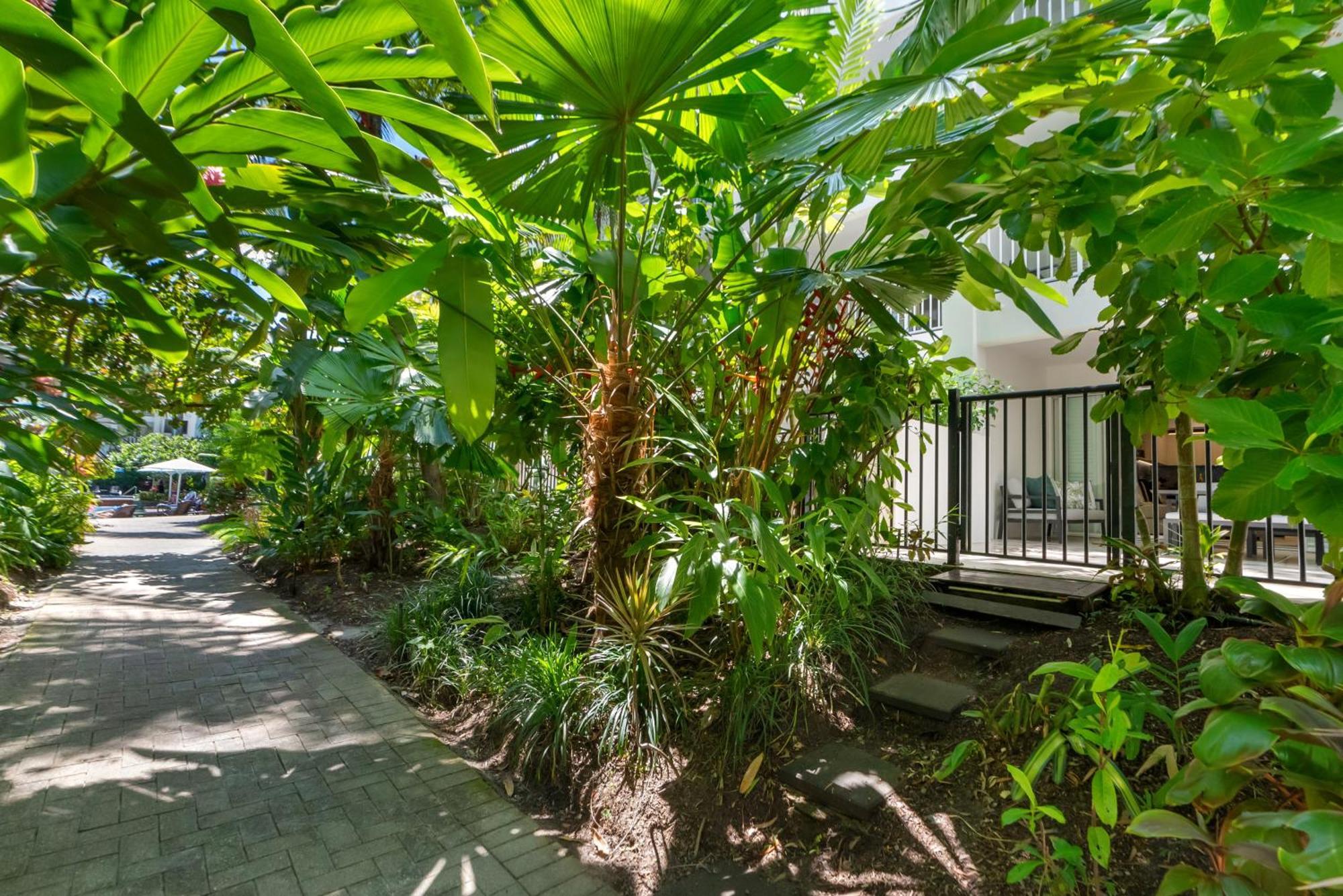 Elysium Private Apartments At Beach Club & Spa Palm Cove Buitenkant foto