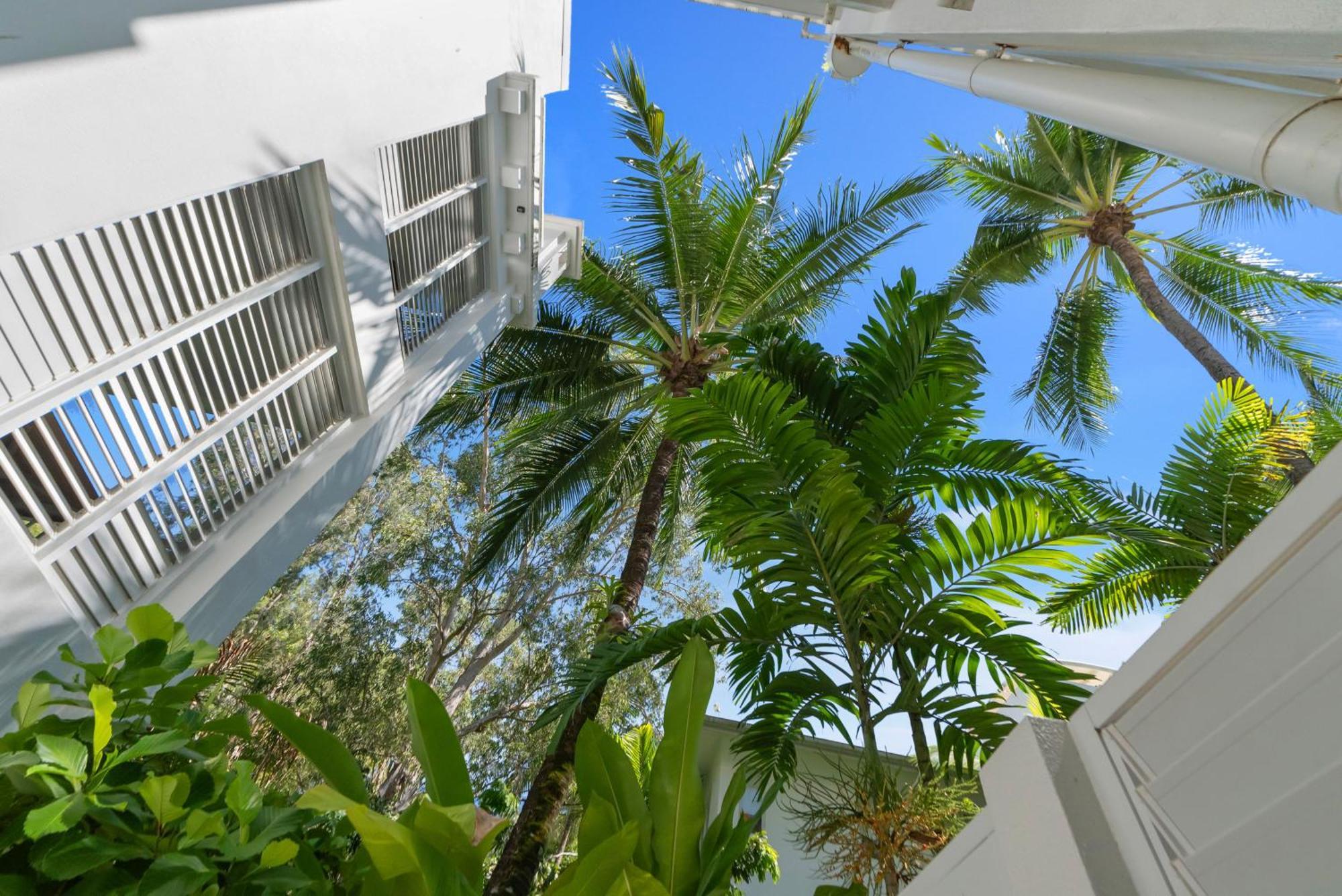 Elysium Private Apartments At Beach Club & Spa Palm Cove Buitenkant foto